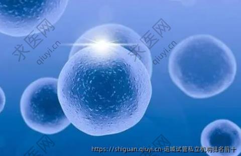 运城试管私立机构排名前十