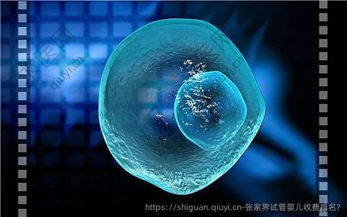 张家界试管婴儿收费排名?