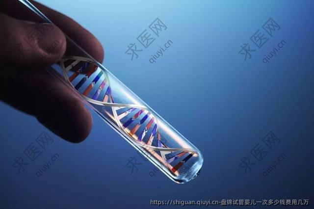 盘锦试管婴儿一次多少钱费用几万