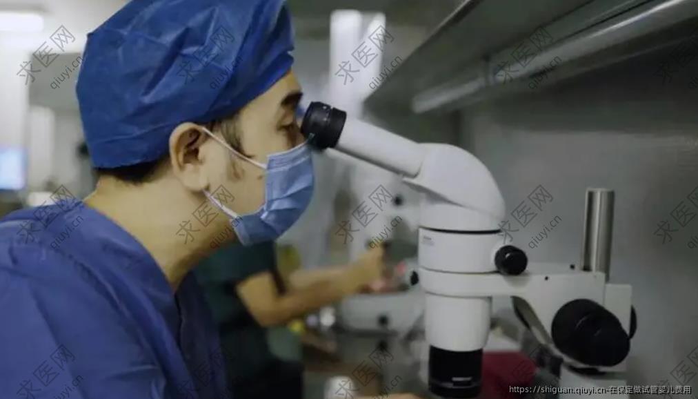 在保定做试管婴儿费用