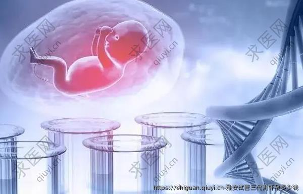 雅安试管三代测怀孕多少钱