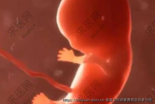 淮南三代试管费用总共多少钱