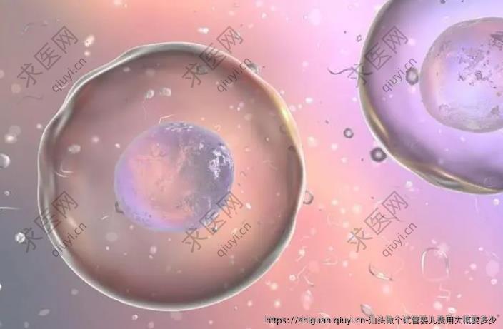 汕头做个试管婴儿费用大概要多少