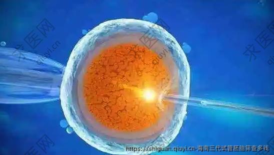 海南三代试管胚胎筛查多钱