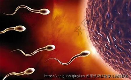 四平资深试管婴儿医院排名