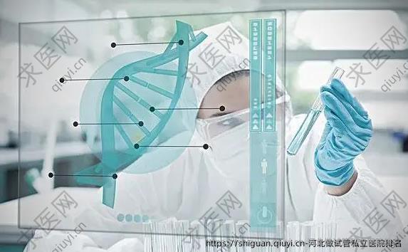 河北做试管私立医院排名