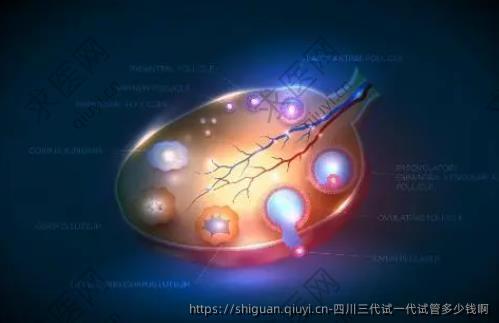 四川三代试一代试管多少钱啊
