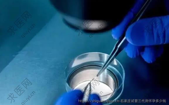 石家庄试管三代测怀孕多少钱