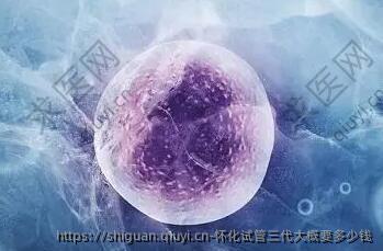 怀化试管三代大概要多少钱