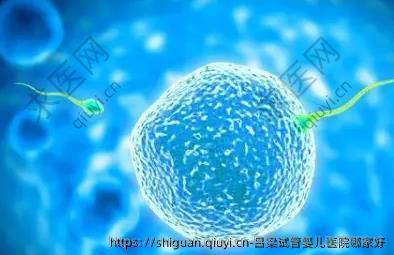 吕梁试管婴儿医院哪家好