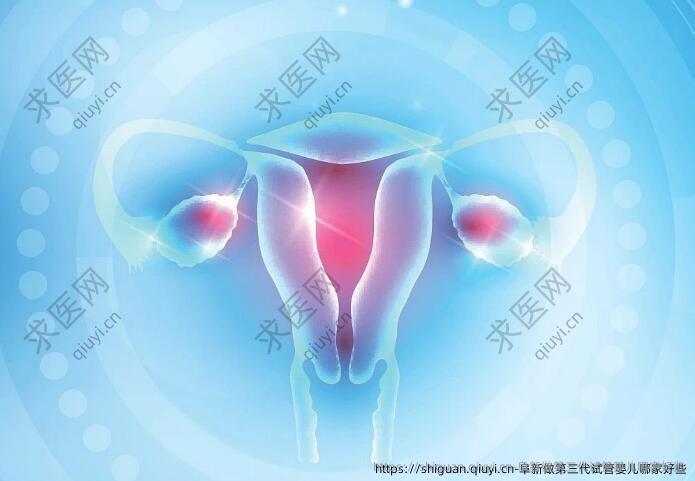 阜新做第三代试管婴儿哪家好些