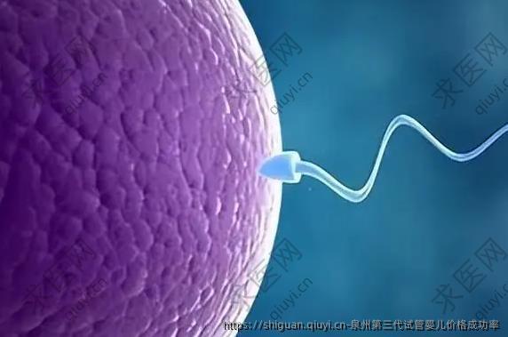 泉州第三代试管婴儿价格成功率