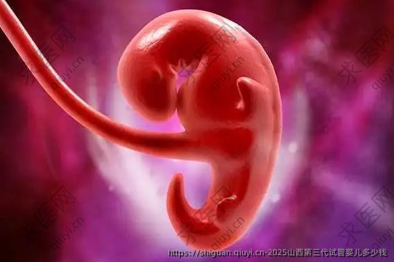 2025山西第三代试管婴儿多少钱