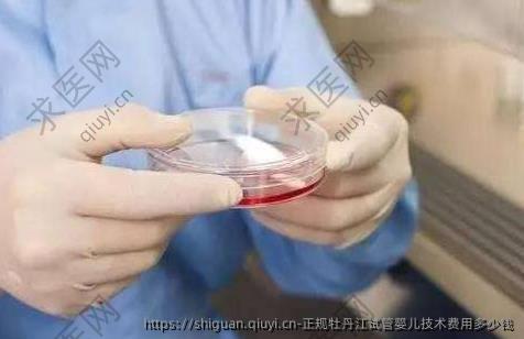 正规牡丹江试管婴儿技术费用多少钱