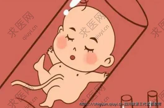 四川做三：代试管费用