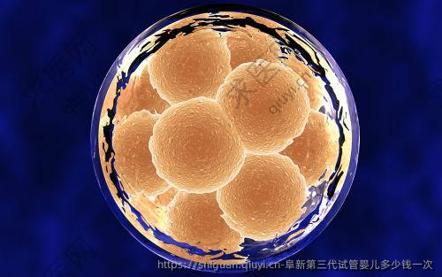 阜新三：代试管婴儿多少钱一次