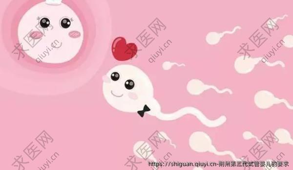 荆州三：代试管婴儿的要求