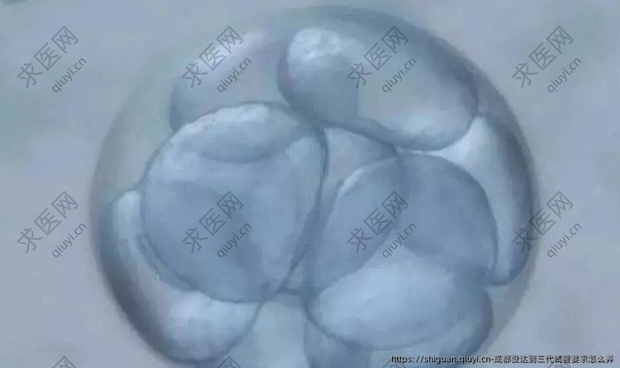 成都没达到三代试管要求怎么弄