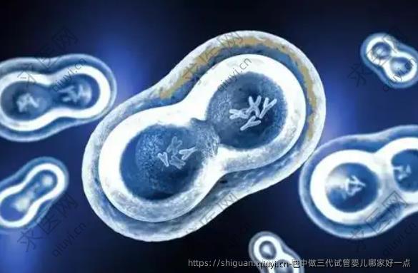 巴中做三代试管婴儿哪家好一点
