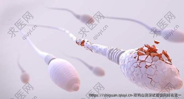 双鸭山资深试管医院排名