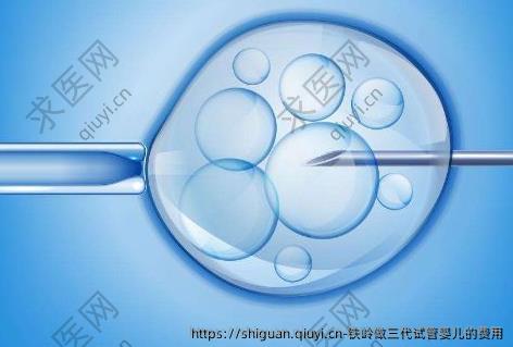 铁岭做三代试管婴儿的费用