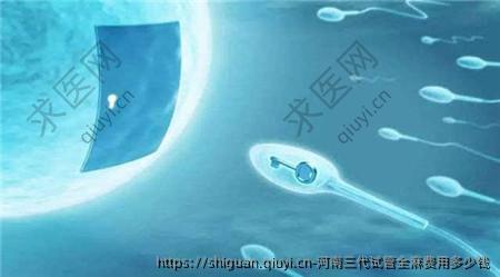 河南三代试管全麻费用多少钱