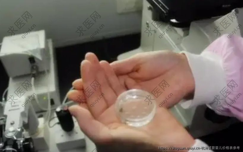 杭州试管婴儿价格表参考