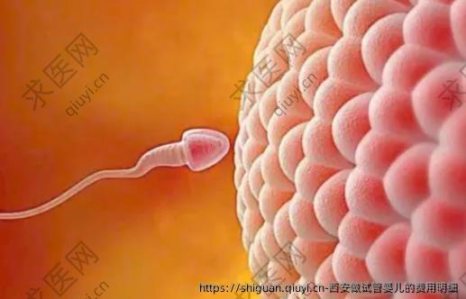 西安做试管婴儿的费用明细