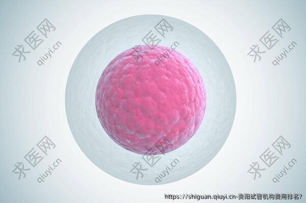 贵阳试管机构费用排名?