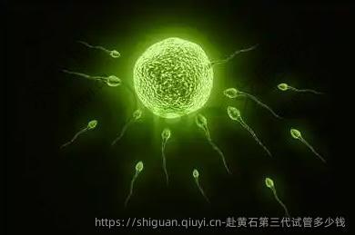赴黄石第三代试管多少钱