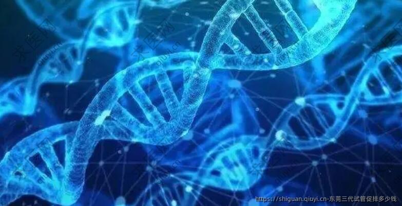 东莞三代试管促排多少钱