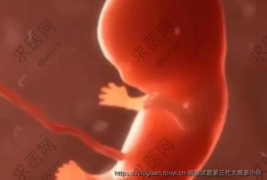 铜陵试管三：代大概多小钱