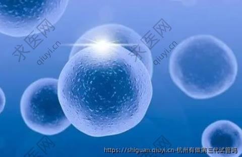 杭州有做第三代试管吗