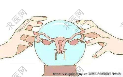 常德三代试管婴儿价钱表