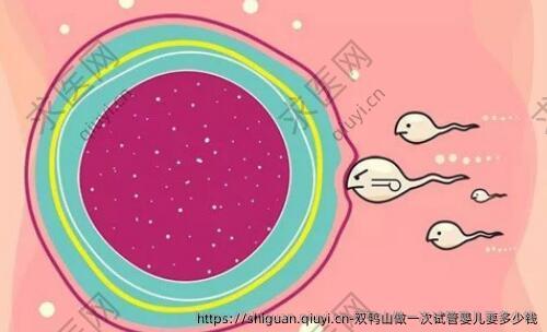 双鸭山做一次试管婴儿要多少钱