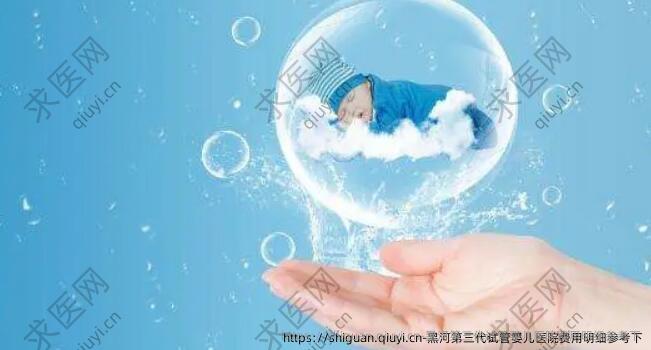 黑河第三孕试管婴儿医院费用明细参考下
