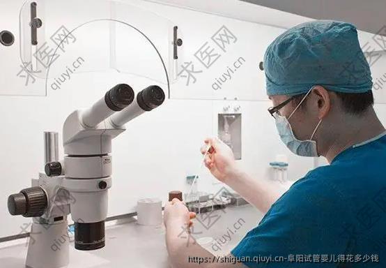 阜阳试管婴儿得花多少钱