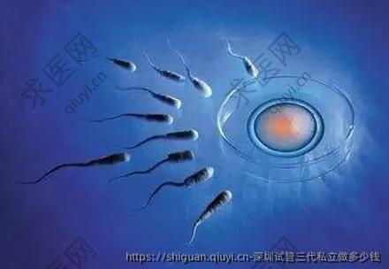 深圳试管三代私立做多少钱