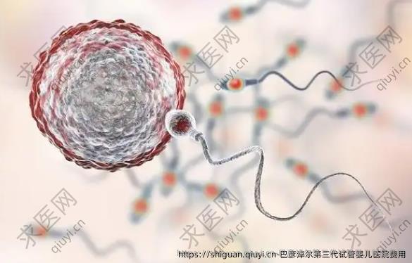 巴彦淖尔三：孕试管婴儿医院费用