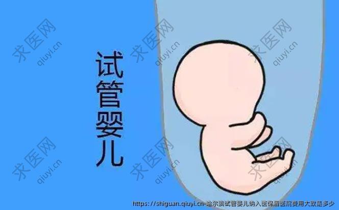 哈尔滨试管婴儿纳入医保后医院费用大致是多少