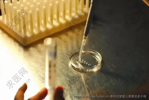 惠州试管婴儿需要花多少钱