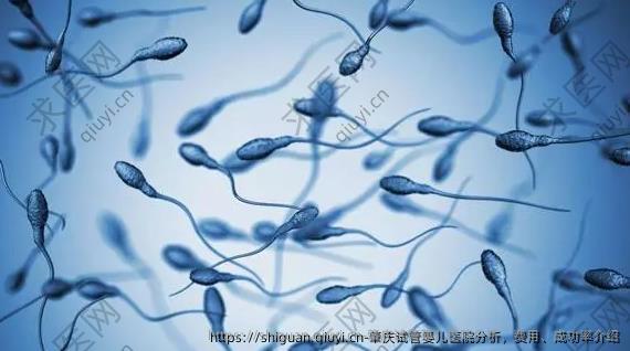 肇庆试管婴儿医院分析，费用、成功率介绍