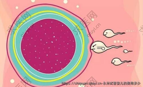 永州试管婴儿的费用多少