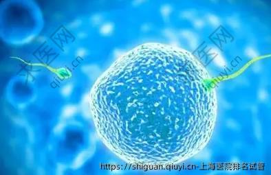 上海医院排名试管