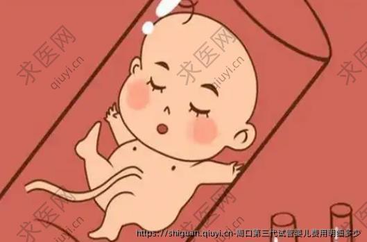 周口第三孕试管婴儿费用明细多少