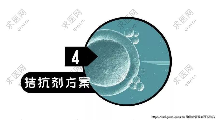 莆田试管婴儿医院排名
