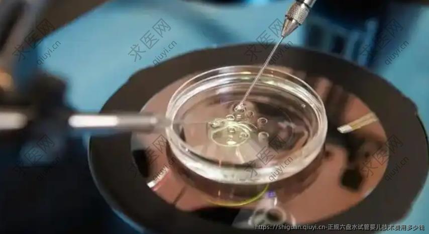 正规六盘水试管婴儿技术费用多少钱