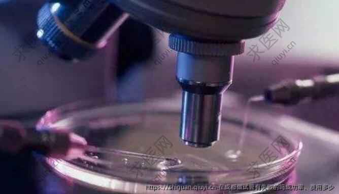 在成都做试管有失败的吗成功率、费用多少