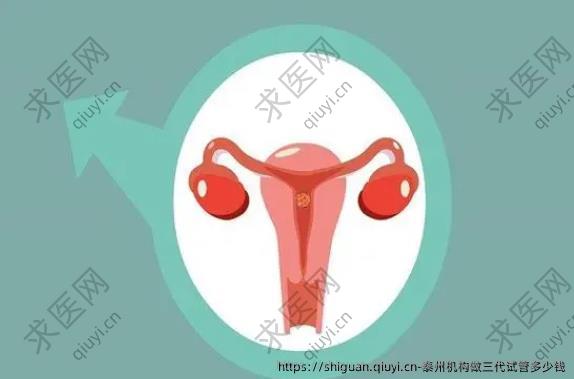 泰州机构做三孕试管多少钱
